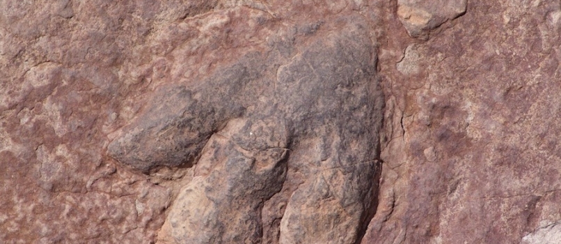OTISCI DINOSAURA U ISTRI